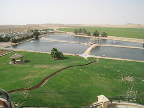 Saudi Arabian Farm Project