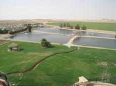 Saudi Arabian Farm Project